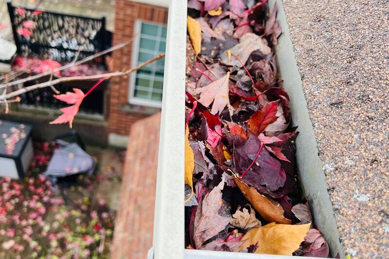 Eavestrough packed with fallen red and yellow maple leaves
