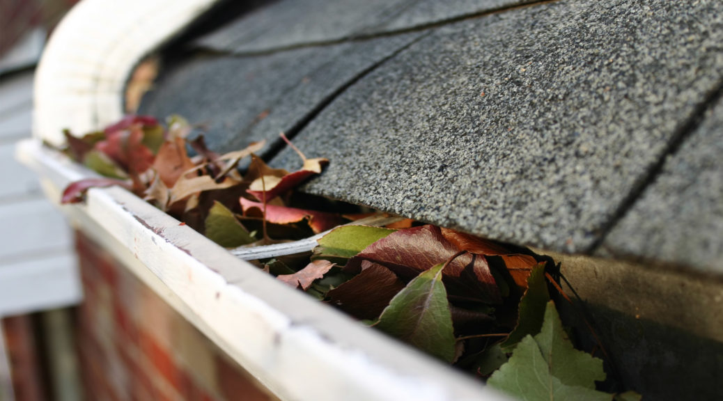 importance of eavestrough cleaning