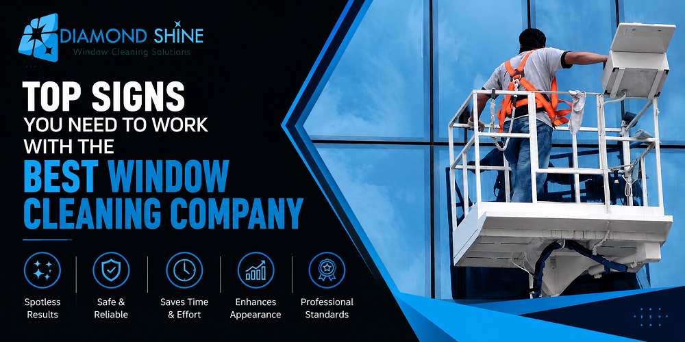 Best Window Cleaning Company