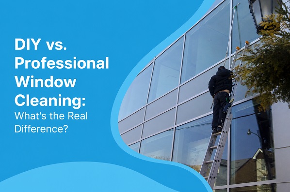 DIY vs. Professional Window Cleaning